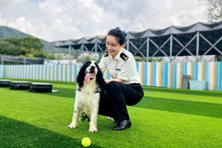32只工作犬参加上海海关上岗考核，合格后将守护国门